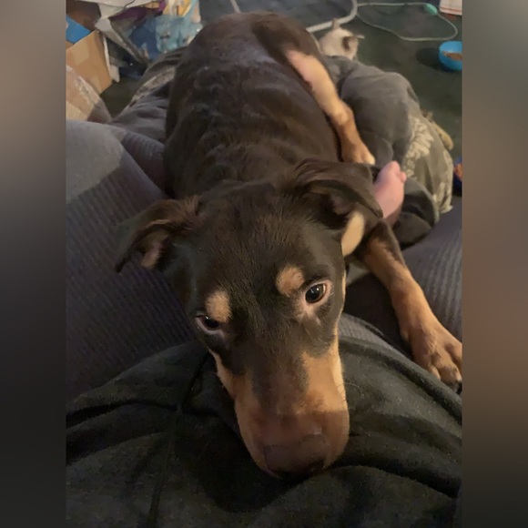 Still here! - Picture 7 of 12